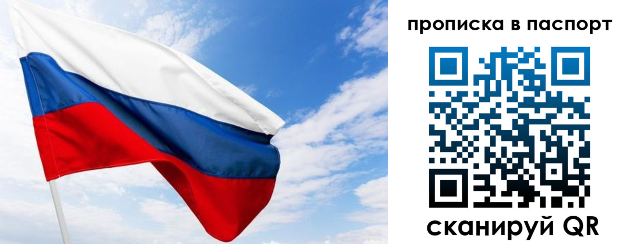 прописка поиск в Мурманской области